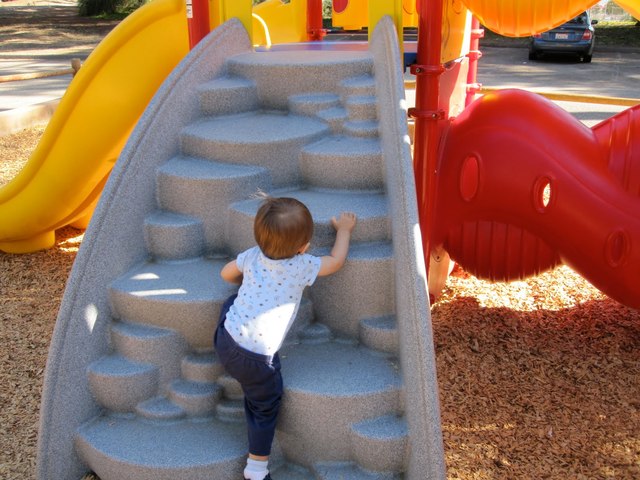 24-30 months (Physical)