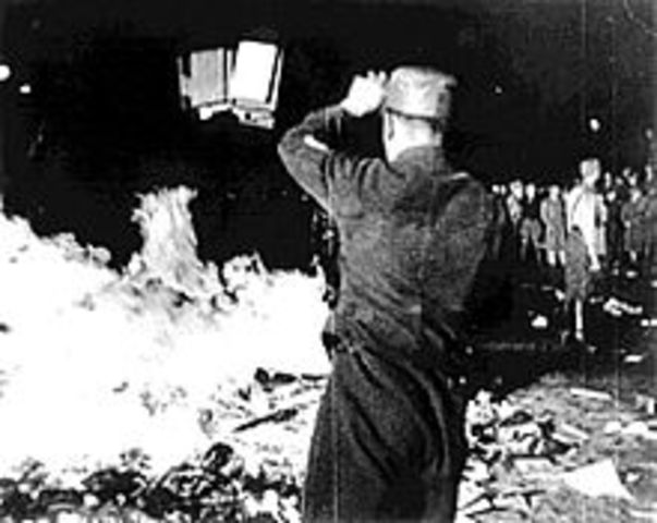 Book Burning By Nazi's