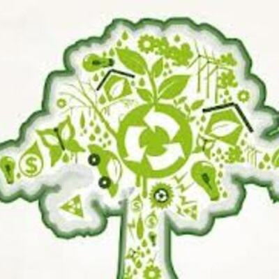 Timeline: Principales antecedentes internacionales y nacionales de la educación ambiental y el desarrollo sustentable (nivel internacional)