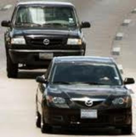 Following Fungus Man