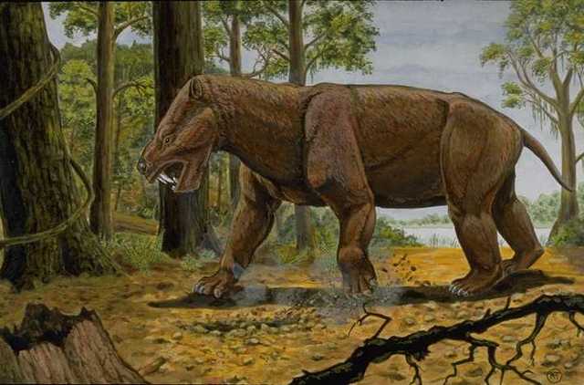 1st Mammals (200 MYA)