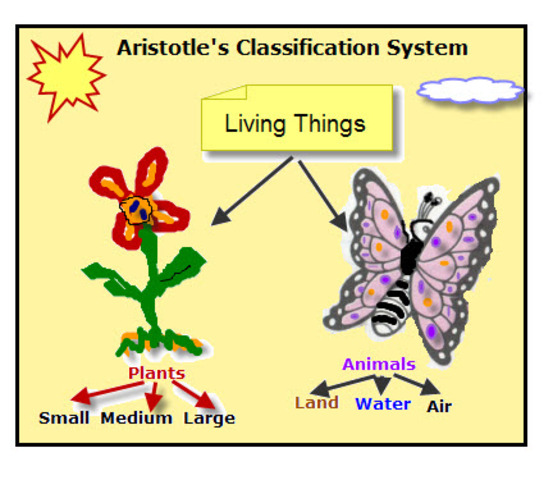 Aristotle's Classification of Life (2,300 YA)