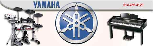 revision de ña custica por ingenieros