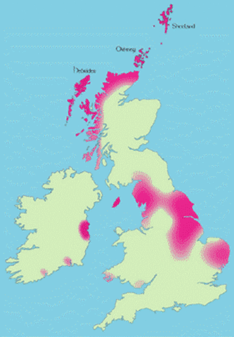 English and Danes mix