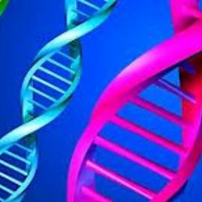 Timeline: Genetics Timeline