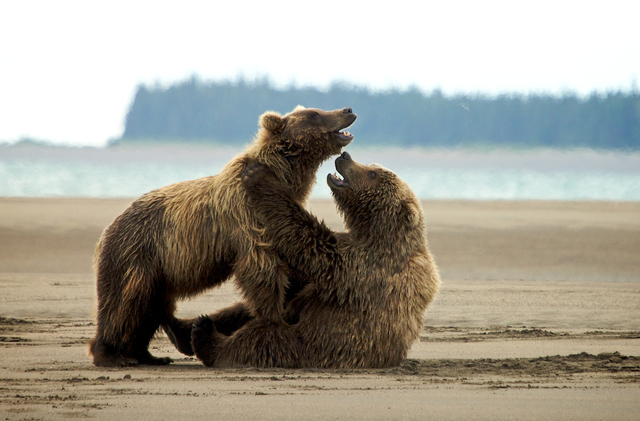 End of Mating Season