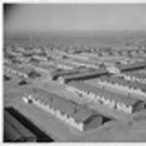 Japanese internment camps