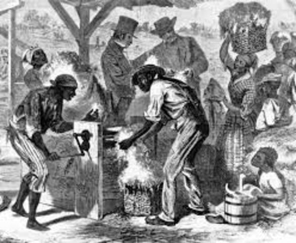 "King Cotton" Argument