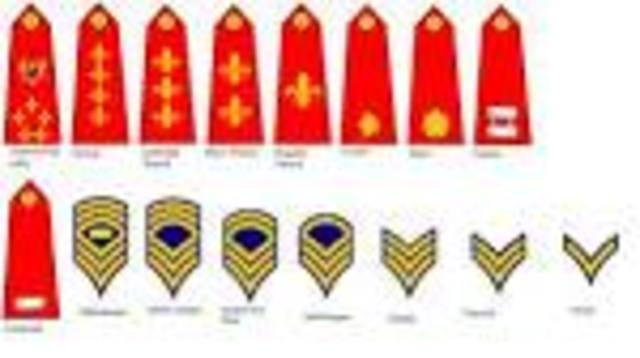 Insignia patches were distinguished in the Confederate army