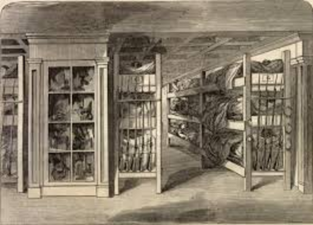 Albert gets his first job