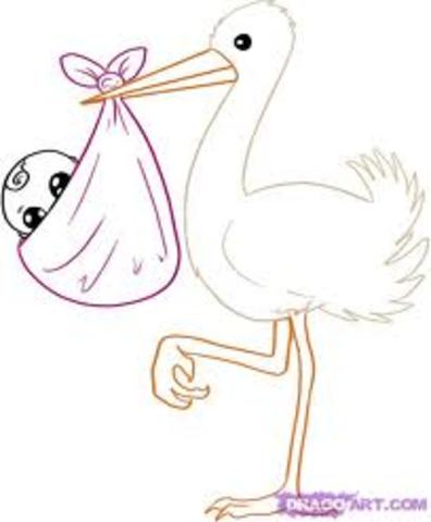 Katherine's Birthday