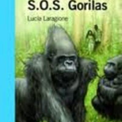 Timeline: jaz agulla y feli galindez y5a