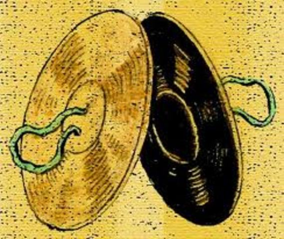 Cymbals Recognized As Musical Instrument.