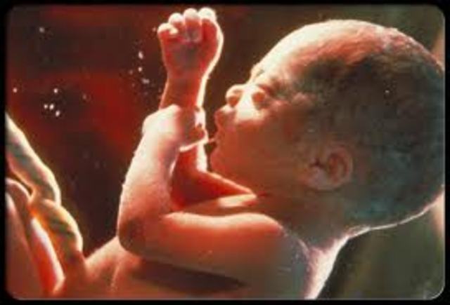 The birth of my only son