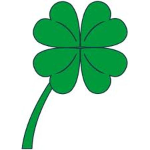 Born In Dublin Ireland