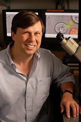 Tetramer Technology Defined