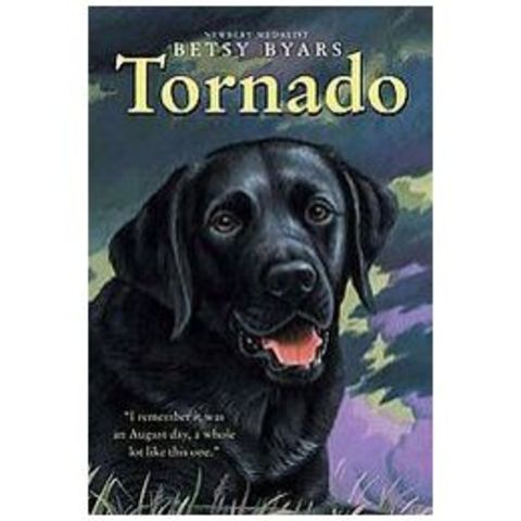 Tornado by Betsy Byers