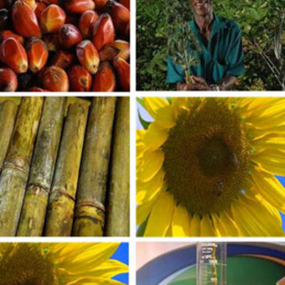 Timeline: Política de Biocombustibles- Biodiésel-en Colombia (2002-2008)