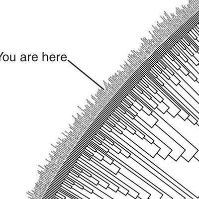 Timeline: The evolution of evolution