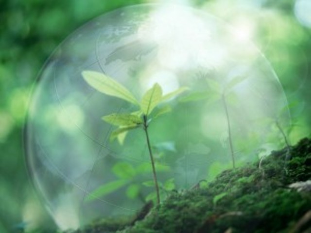 La Comisión de Ecológia  y Medio Ambiente de LVII Legislatura de la Camara de Diputados, Solicitó la Reforma del Artículo 39 de la LGEEPA que fue aprovada en noviembre de 1999