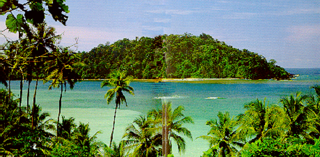 viaje a la isla gorgona