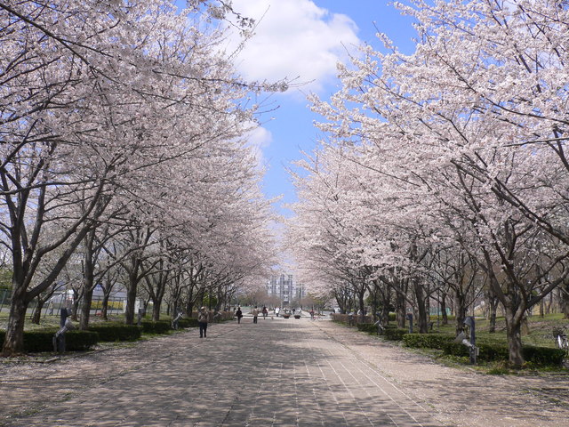 My High School Entrance Ceremony