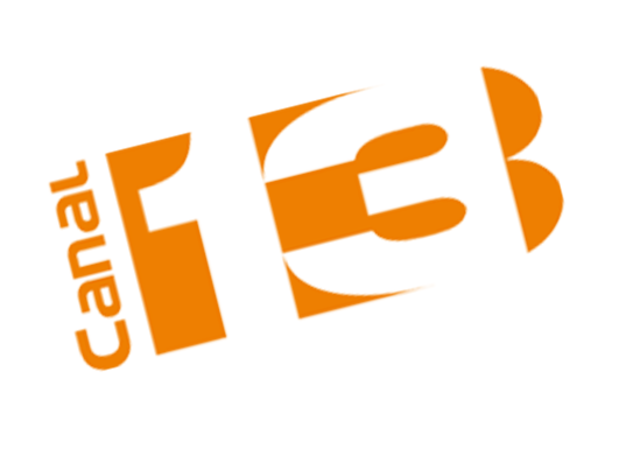 se crea Canal 13