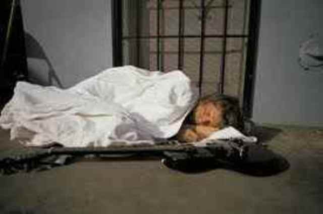 muere un talentoso artista