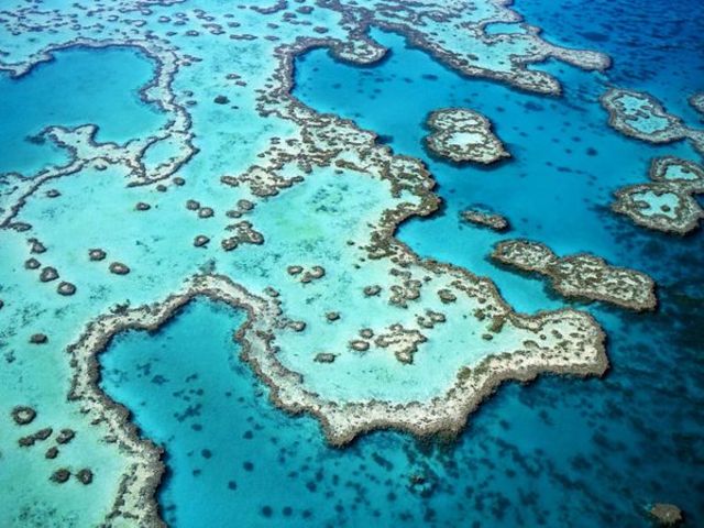 Fakten über das Great Barrier Reef Teil 2