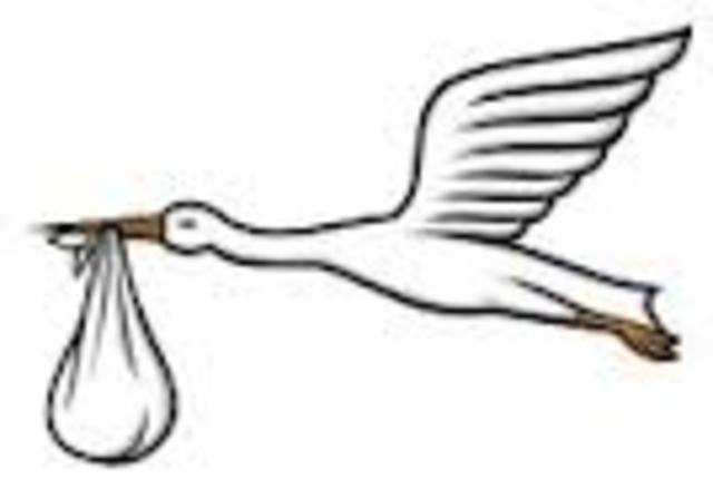 a birth of a waffle maker