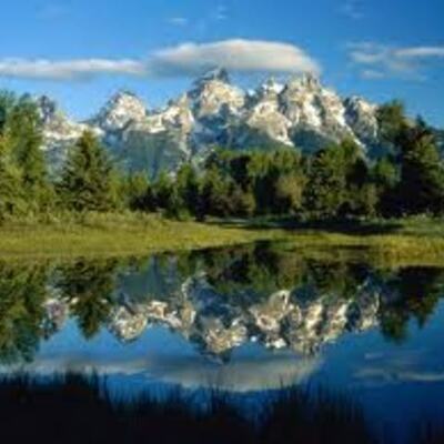 Timeline: Environmental History