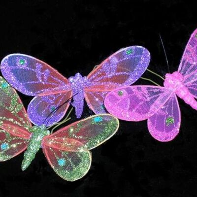 Timeline: BIOGRAFIA  DE MARIELA CASTRO