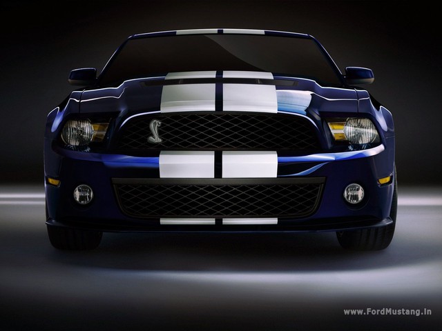 2010 mustang