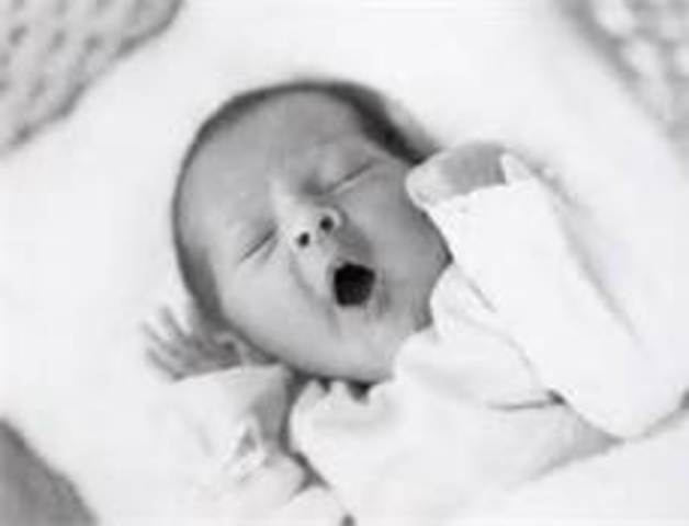 is when Jane Goodall was born