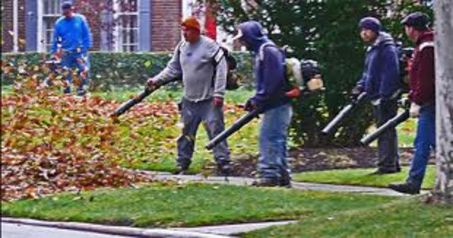 *Invention of the leaf blower