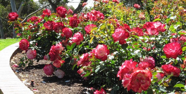 Odds visit with his Mother