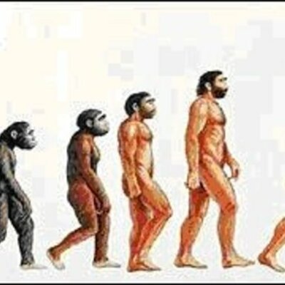 Timeline: evolucion del hombre