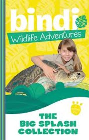 Surfing with the Turtles by Jess Black