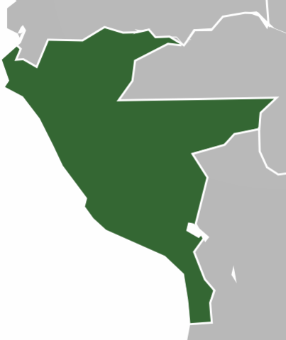 Creación del protectorado