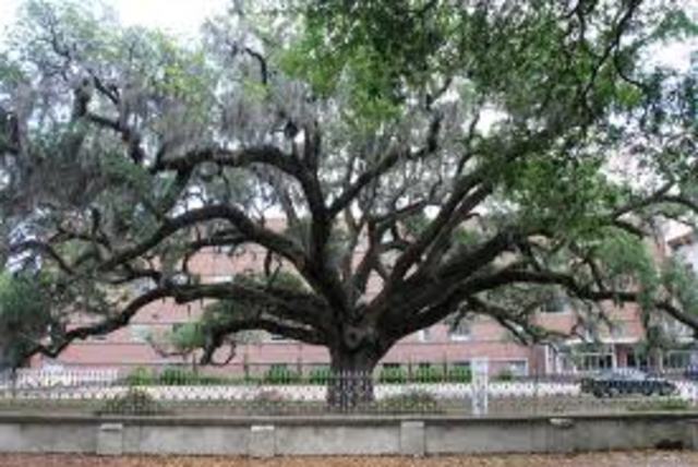 Savannah GA falls to the Union