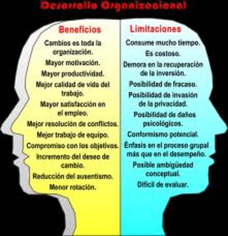 desarrollo organizacional