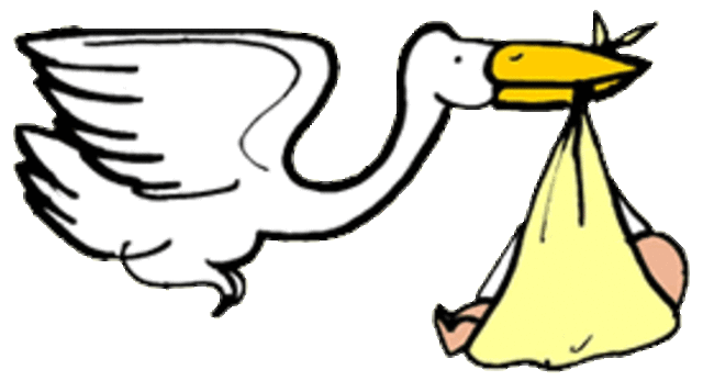 Start of a new family