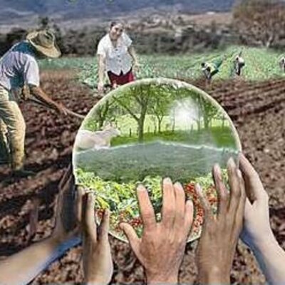 Timeline: Desarrollo Sustentable y Educación Ambiental