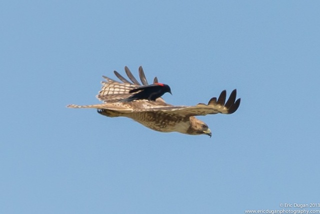 Second Week of Summer School