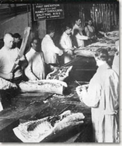 Slaughterhouse Cases