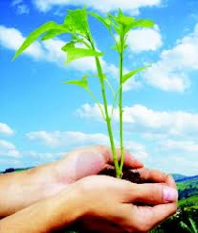 1er Seminario Internacional de Educación Ambiental