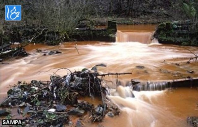 Conferencia Intergubernamental  de Educaciòn Ambiental