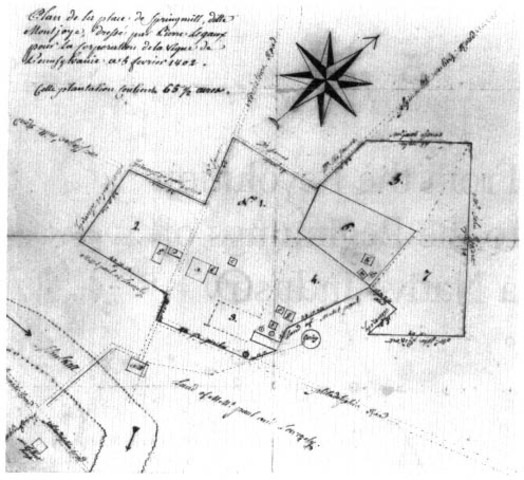 First Commercial Vineyard in the US