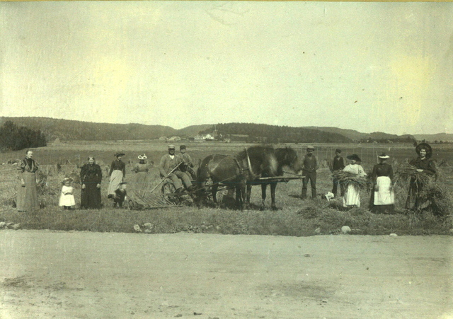 9. gen: Christopher, Herman og Hans