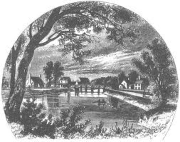 Easy victory for the British